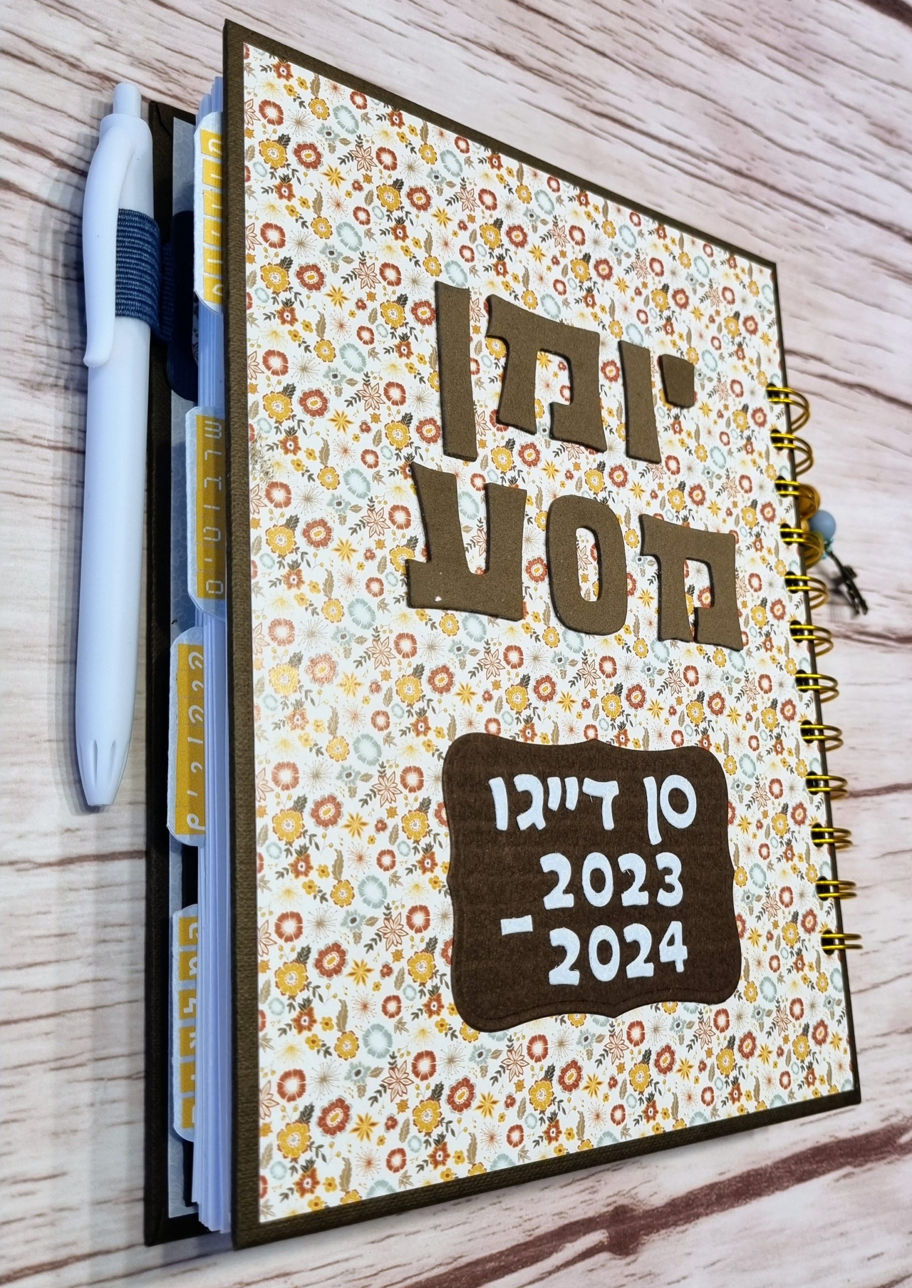 יומן מסע סן דייגו