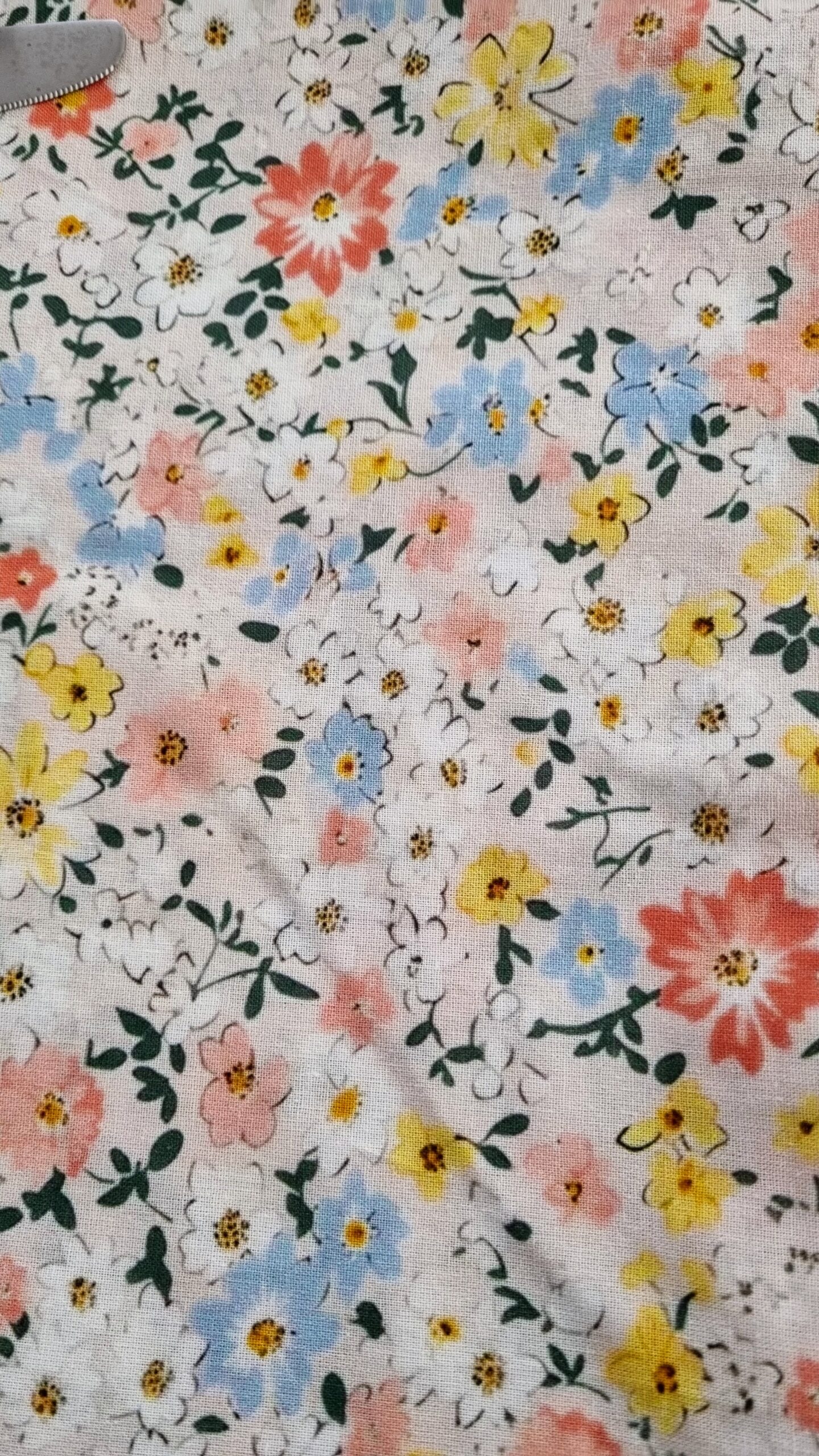 עיצוב שולחן לראש השנה 2025