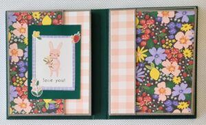 לתרום אלבום 2026