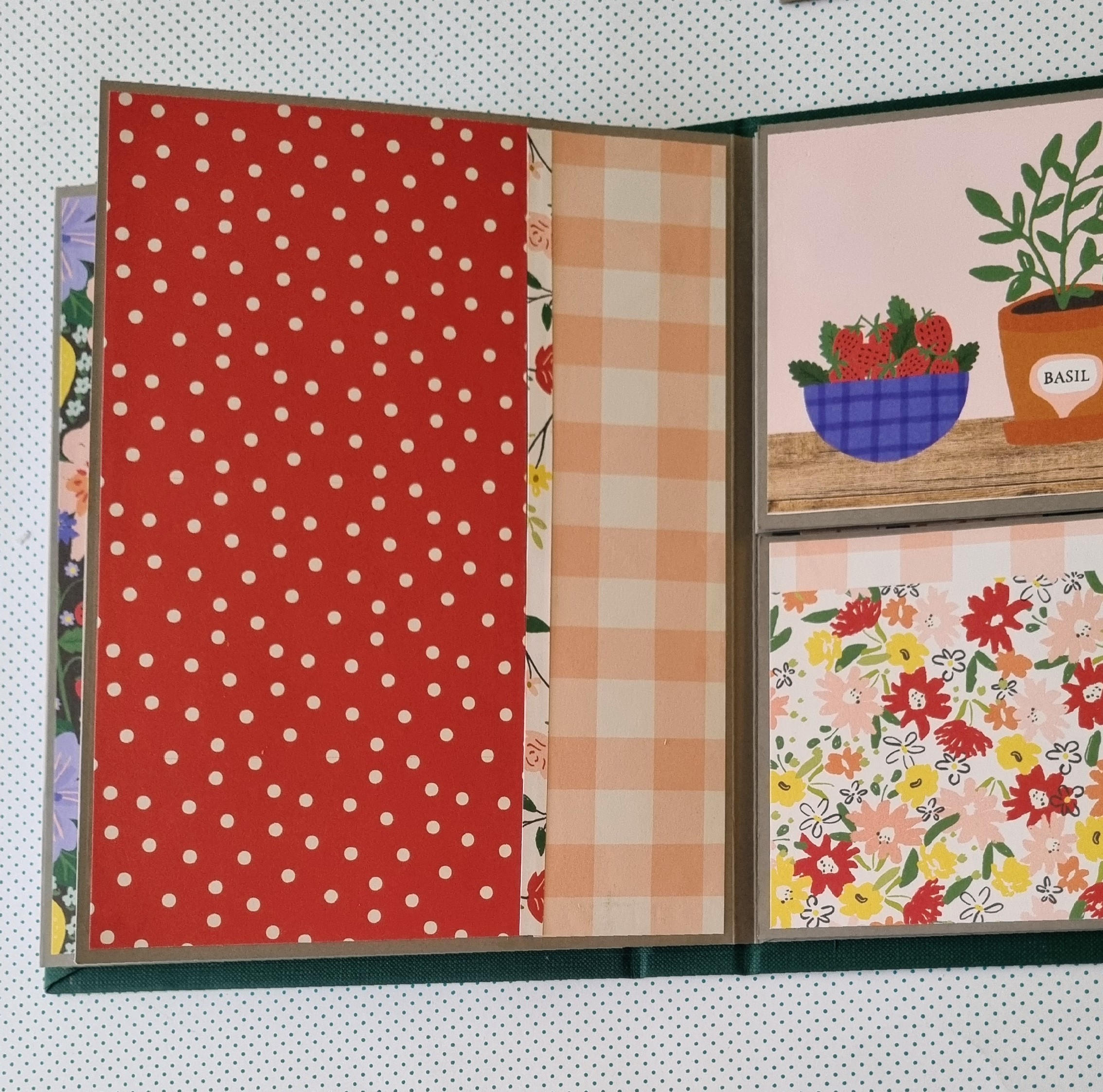 לתרום אלבום 2026