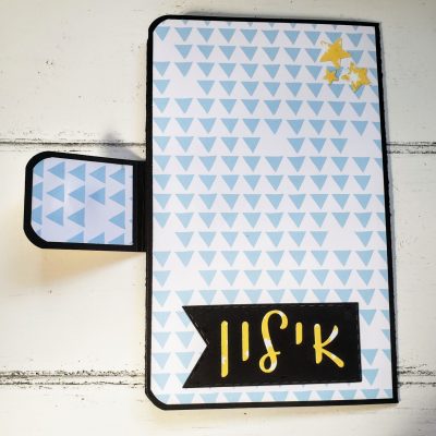 כיסוי לפנקס חיסונים