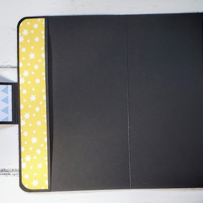 כיסוי לפנקס חיסונים