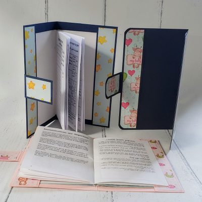 כיסוי לפנקס חיסונים